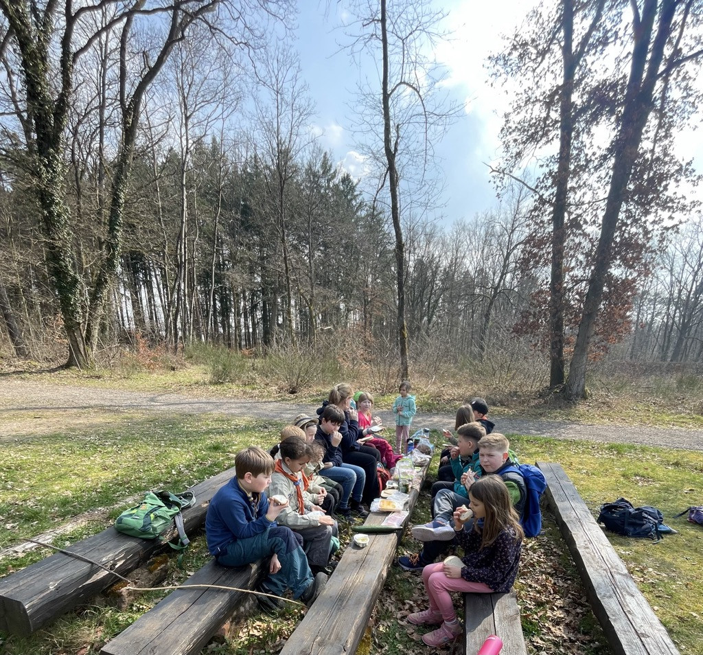 Wölis entdecken den Frühling